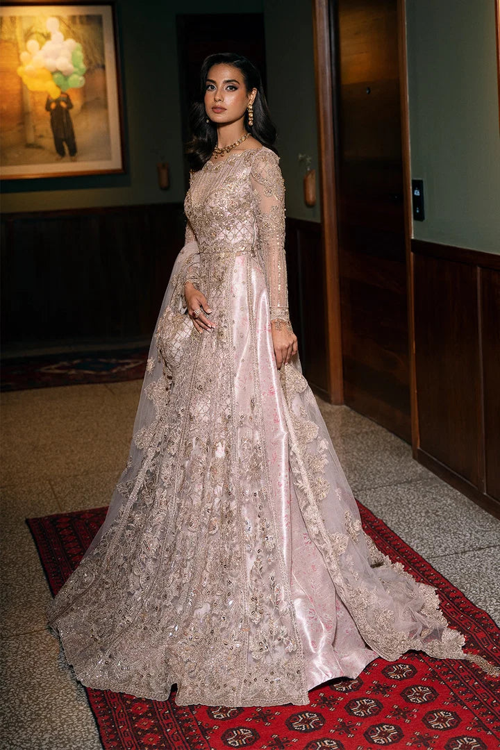 Saira Rizwan - Rigel