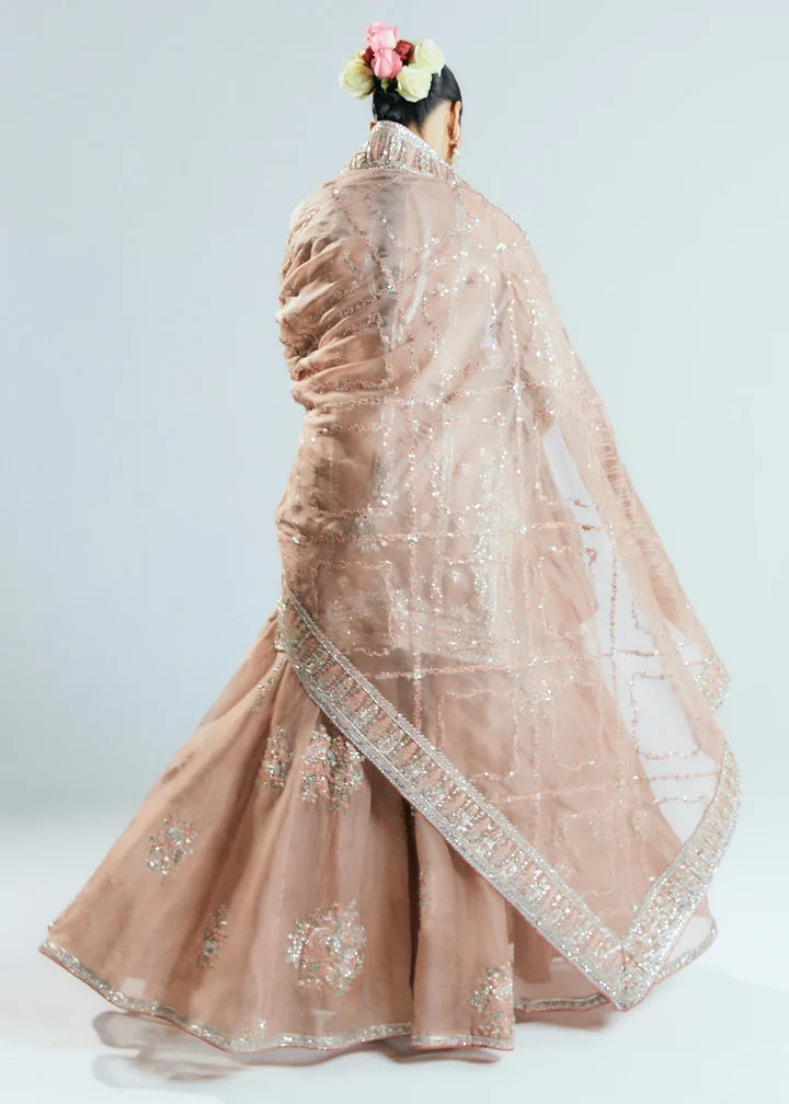 Hussain Rehar - Dune - Full Backside