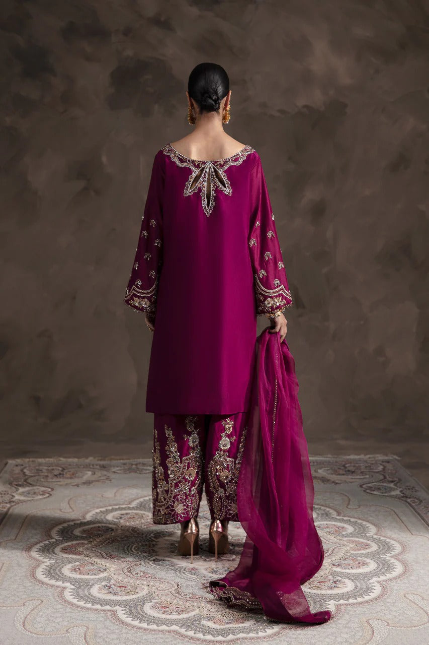 Irina - Burgundy Hand-Embellished Shalwar Kameez