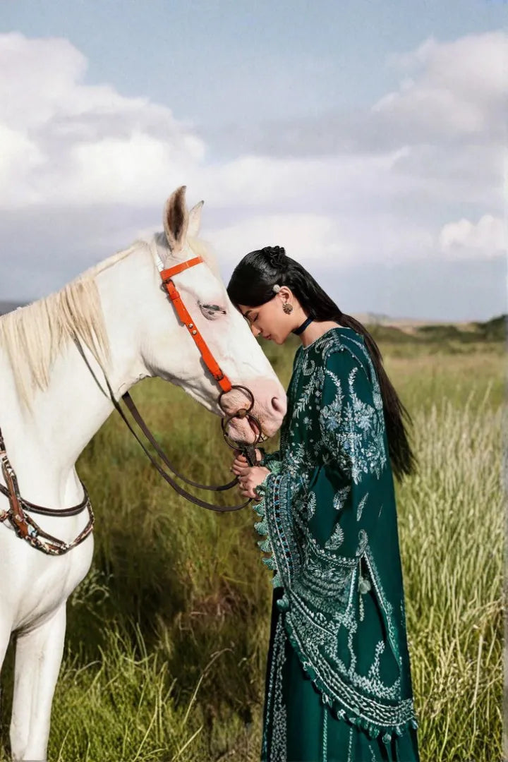 Johar - Hussain Rehar