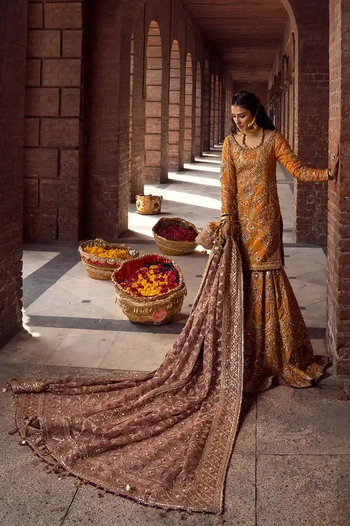 MNR - Gul-e-Maryam - Full Front View