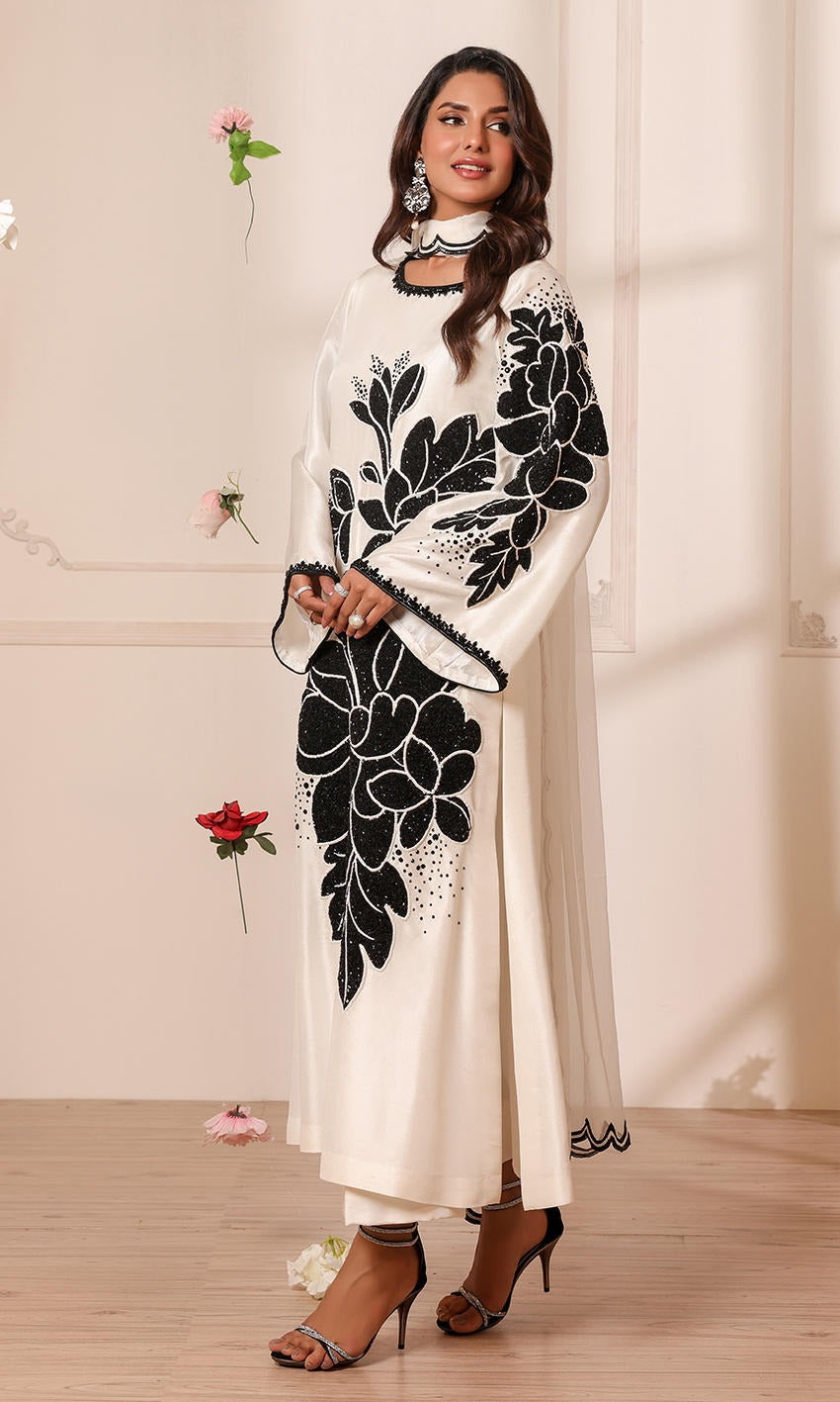 Noman Ansari - NALP - Full Side View