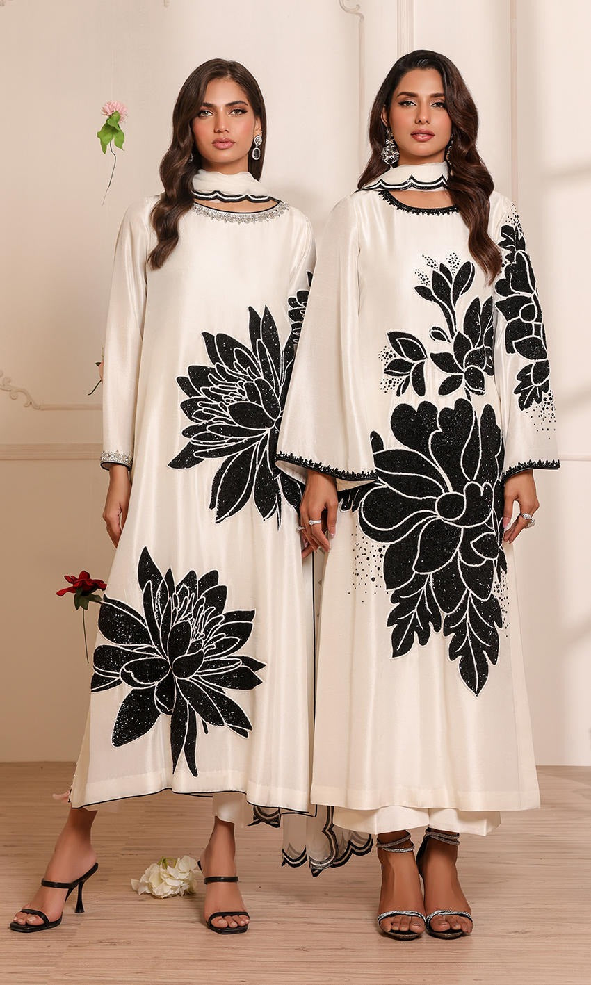 Noman Ansari - NALP - Full Front View