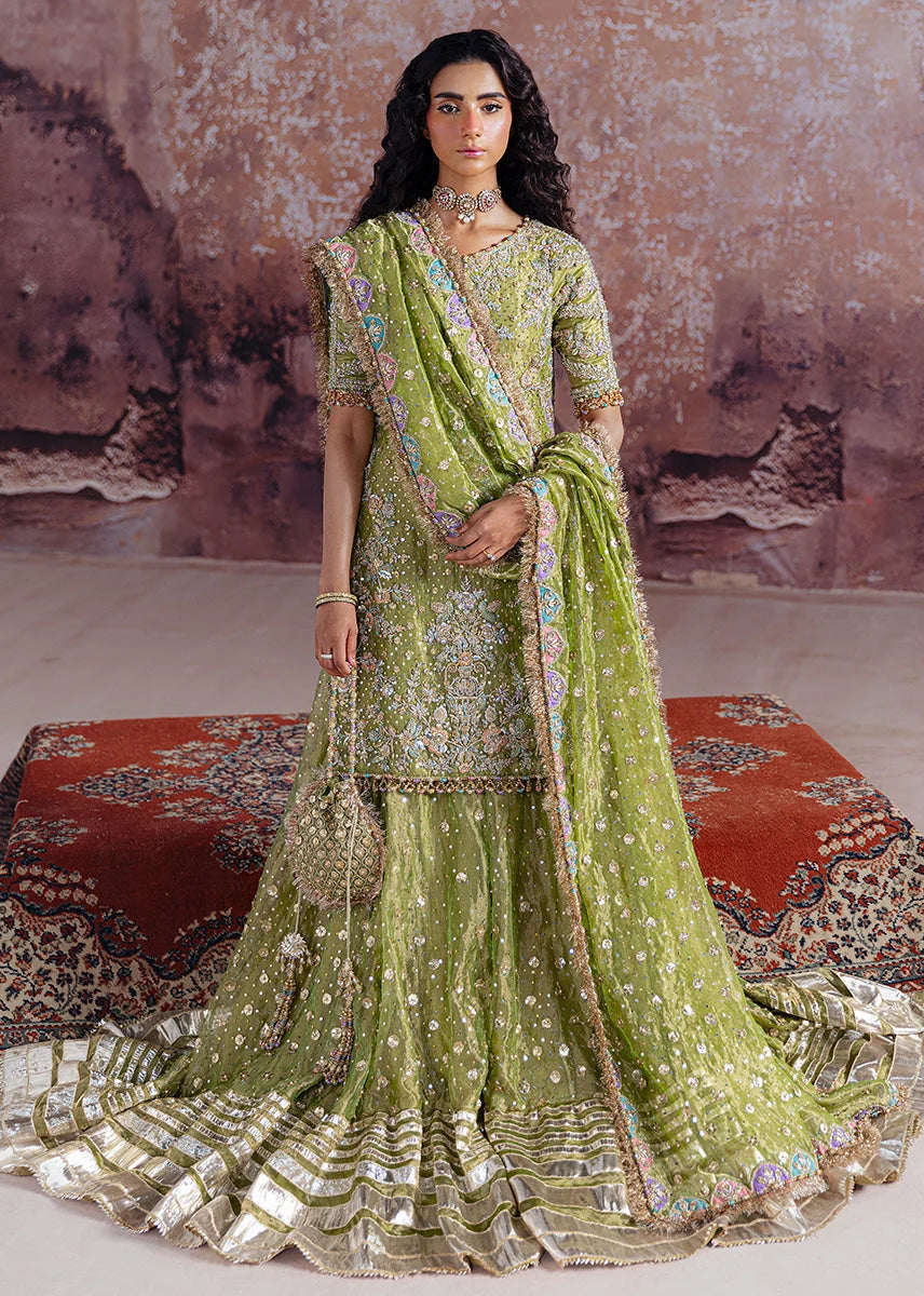 Sara Rohale Asghar - Shadan