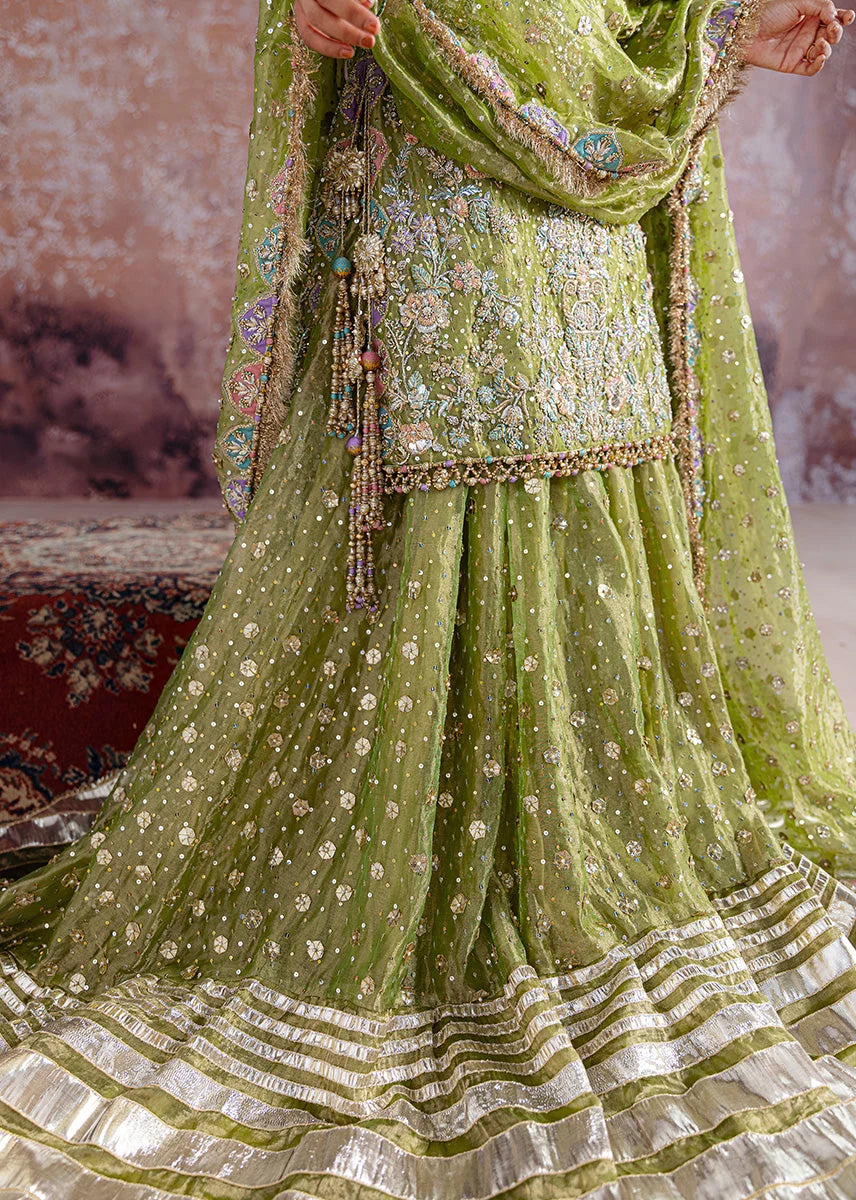 Sara Rohale Asghar - Shadan
