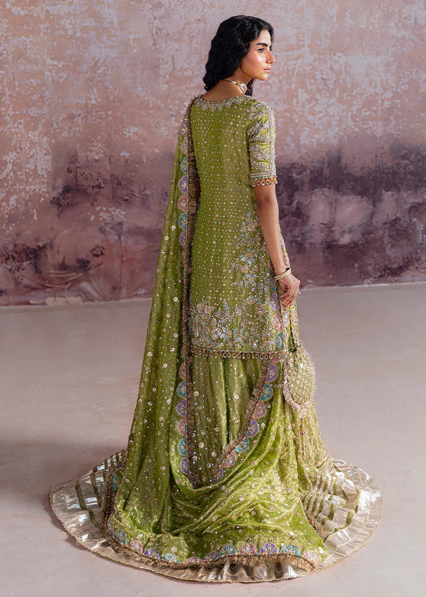 Sara Rohale Asghar - Shadan